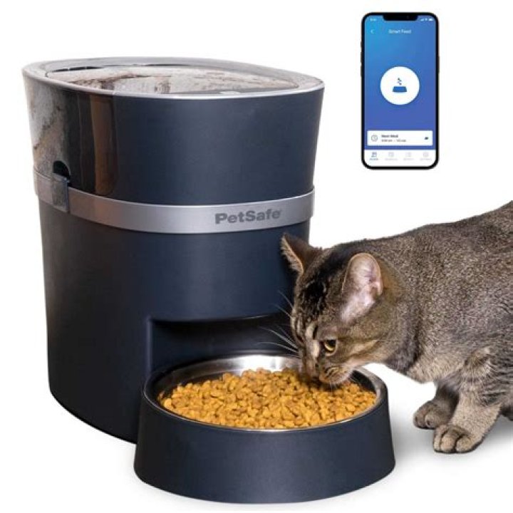 Are automatic feeders bad for cats?