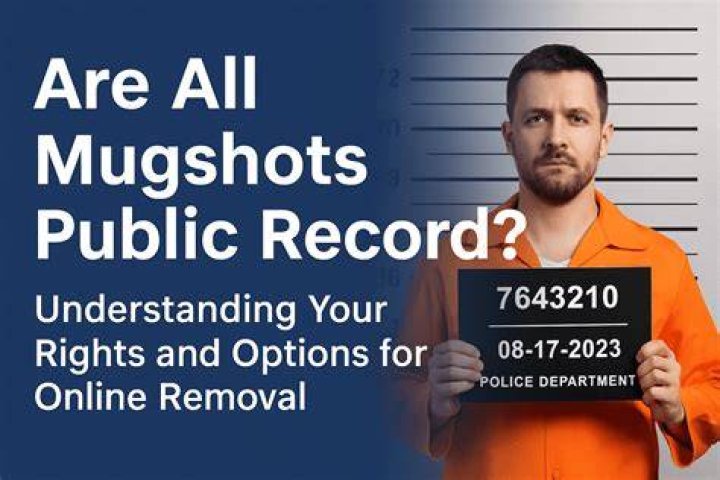 Are booking mugshots public record?