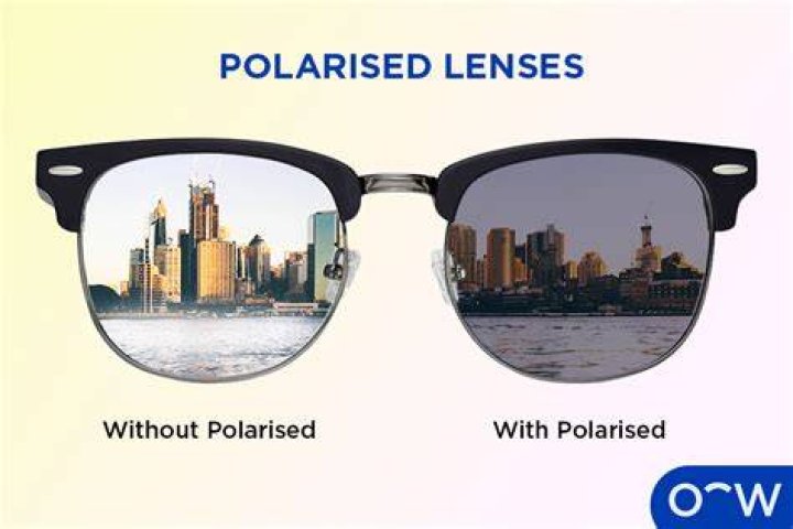 Are polarized glasses the best?
