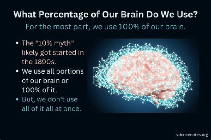 Can a person use 100 percent of their brain?