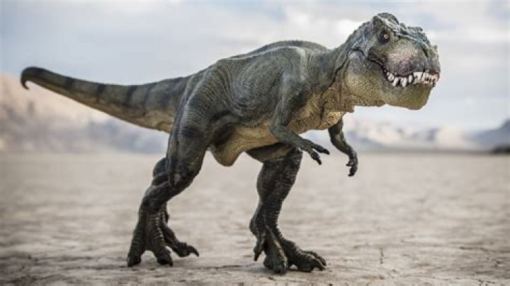 Can a Trex be a dragon?