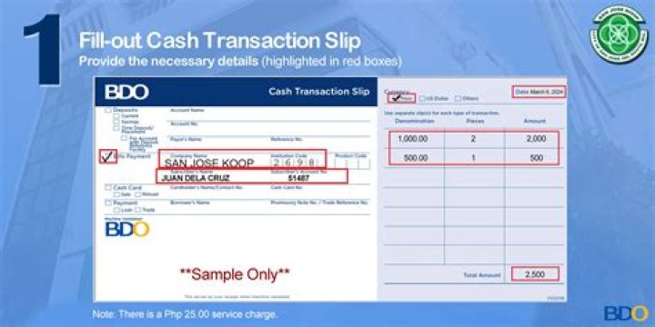 Can I check my BDO savings account online?