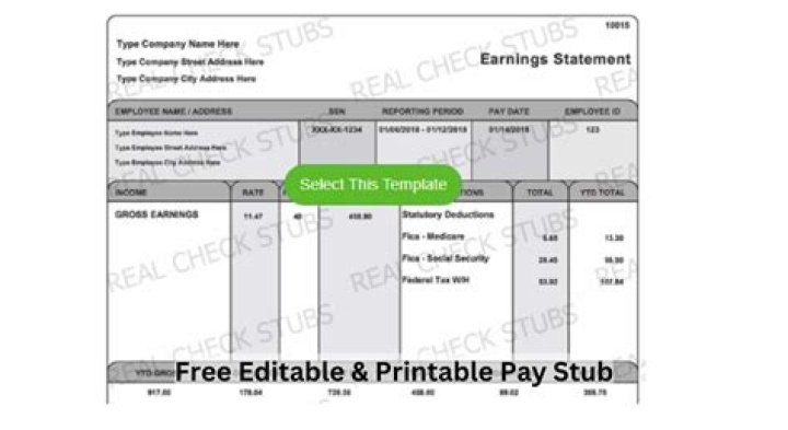 Can I make a fake pay stub?