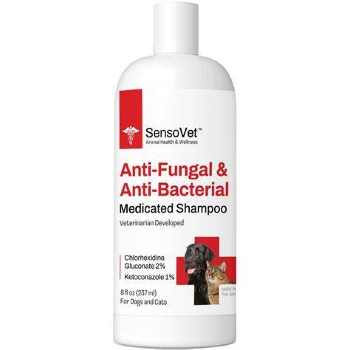 Can I use anti fungal shampoo on my cat?