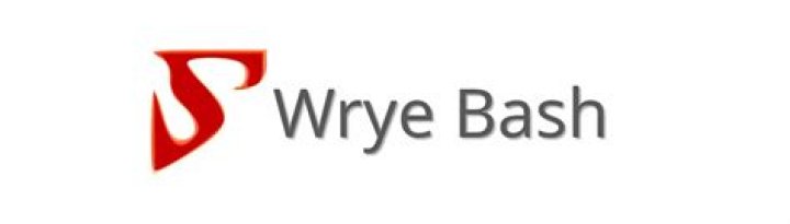 Can I use OBMM and Wrye Bash?