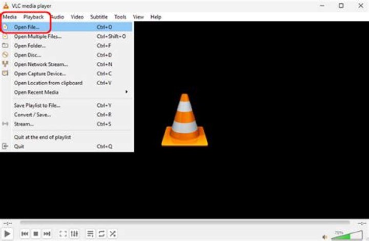 Can VLC play AceStream?