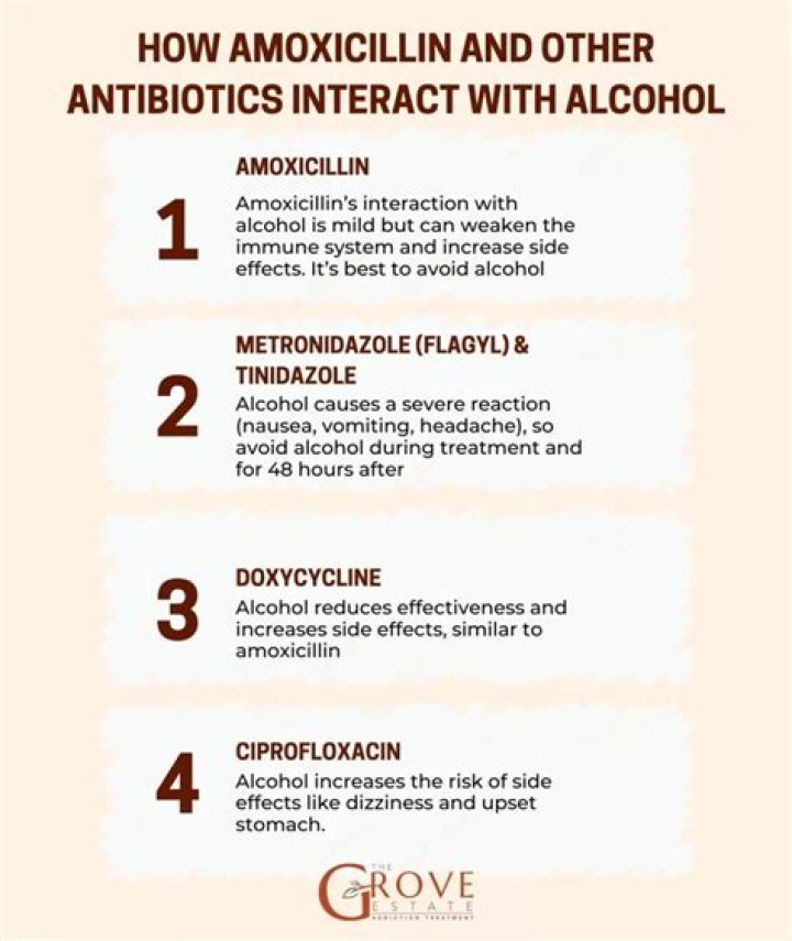 Can you drink alcohol while on amoxicillin?