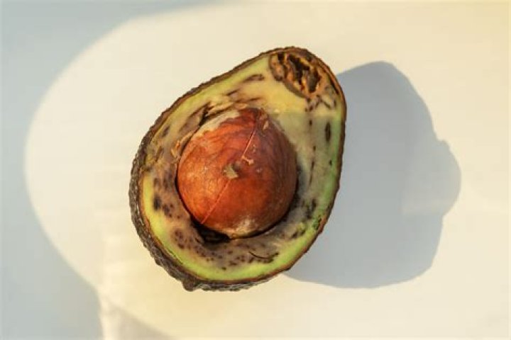 Can you eat galinsoga?