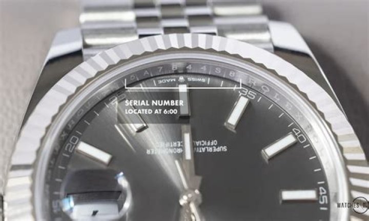 Can you look up a Rolex serial number?