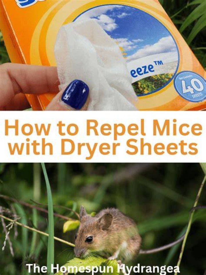 Do Downy dryer sheets repel mosquitoes?