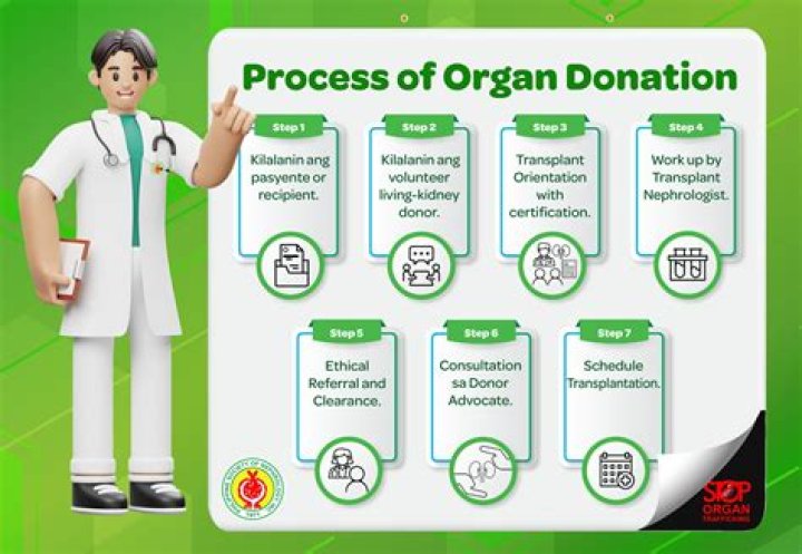 Do they take skin in organ donation?