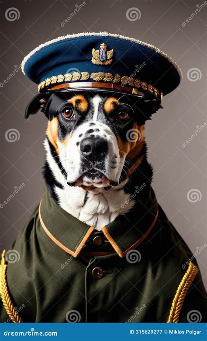 Do you salute while wearing a military uniform indoors?
