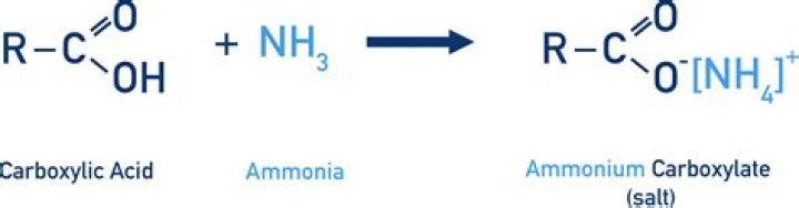 Does ammonia react with glucose?