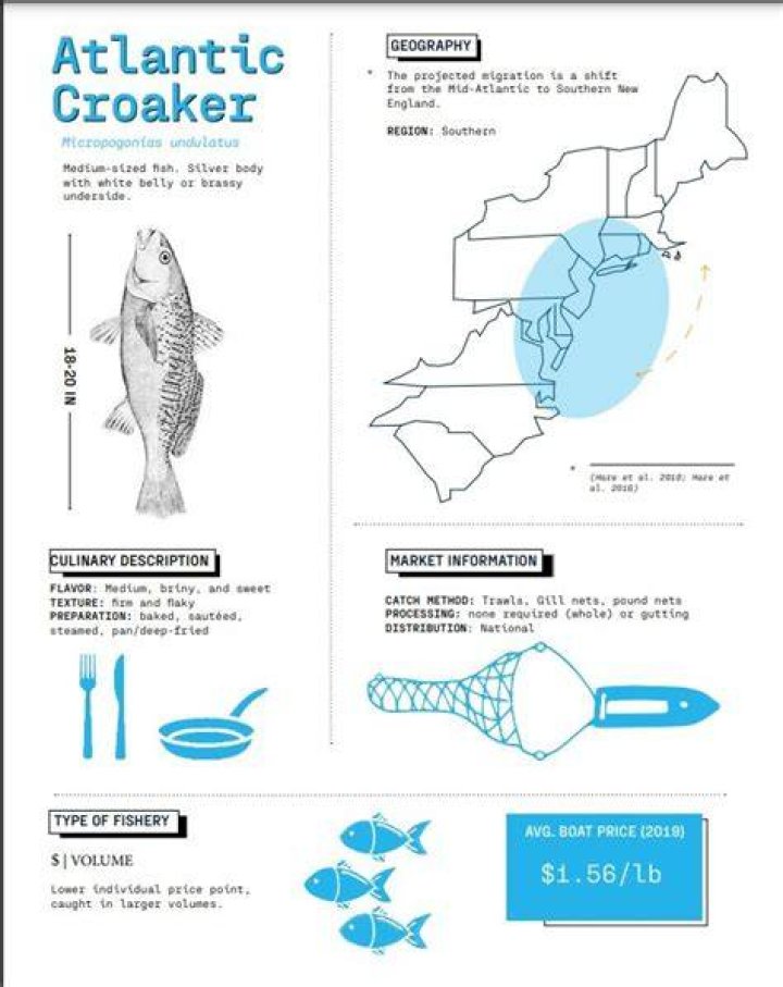 Does Atlantic croaker taste good?