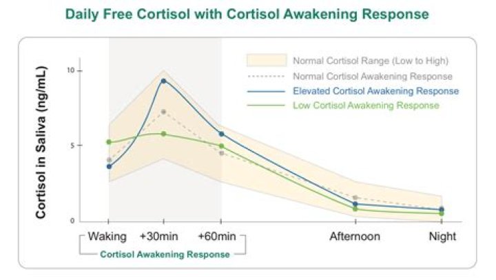 Does Depression raise cortisol levels?