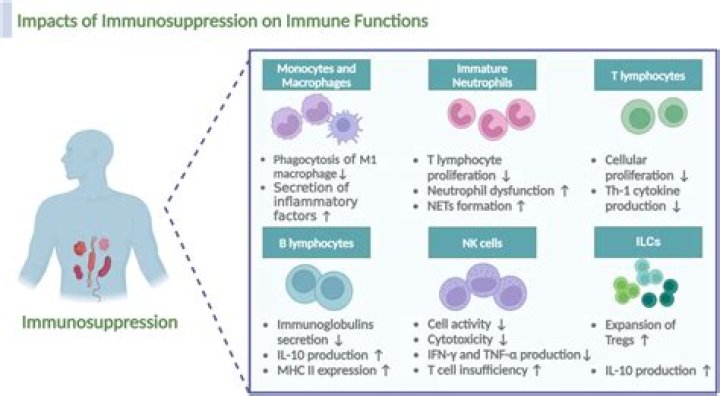 How are tumors immunosuppressive?