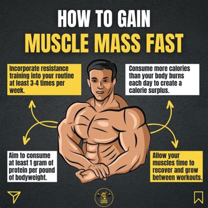 How can I build arm muscle fast?