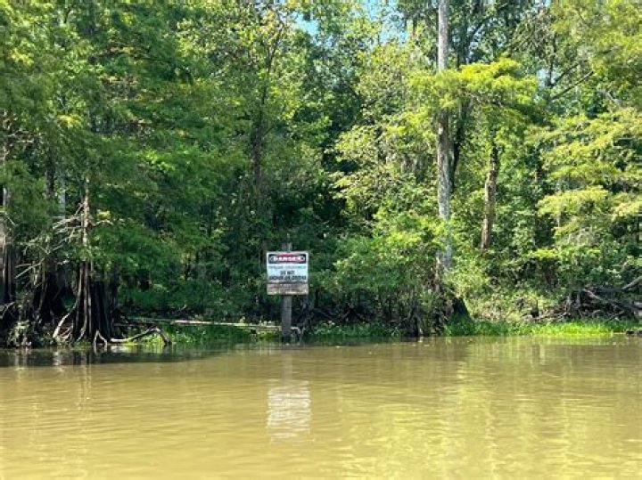 How deep is the Atchafalaya Swamp?