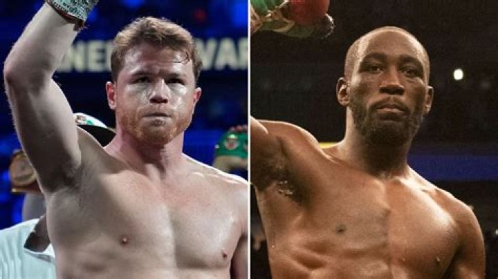 How did Canelo lose to Mayweather?