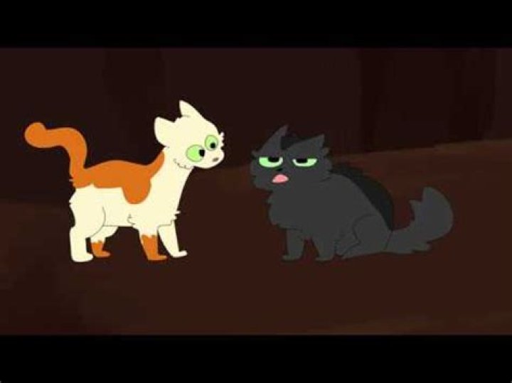 How did Hollyleaf meet fallen leaves?