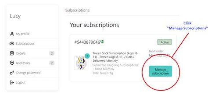 How do I cancel my subscription to Lynda com?