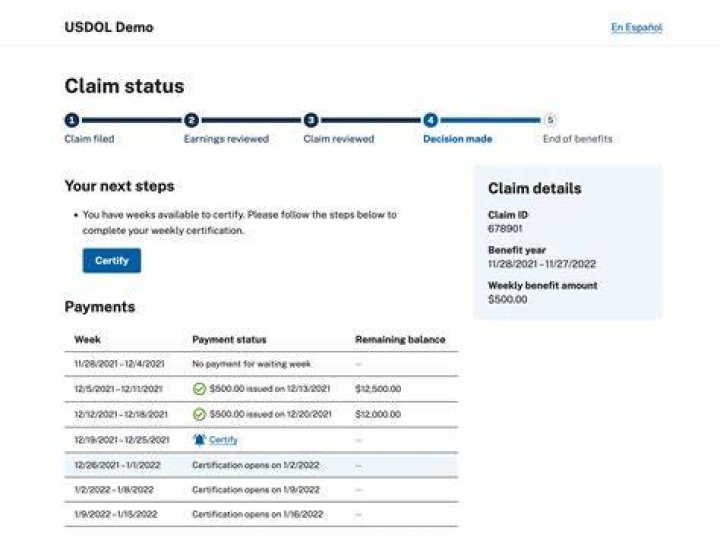 How do I check the status of my CBP application?