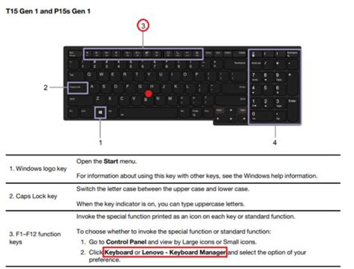 How do I enable the Fn key on my Lenovo?