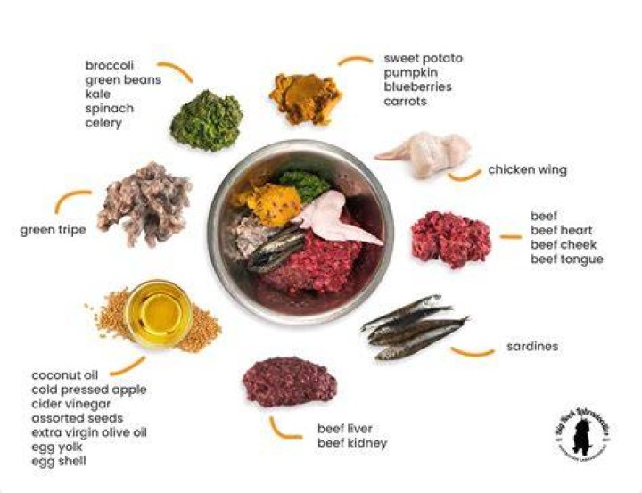 How do I feed my dog real food?