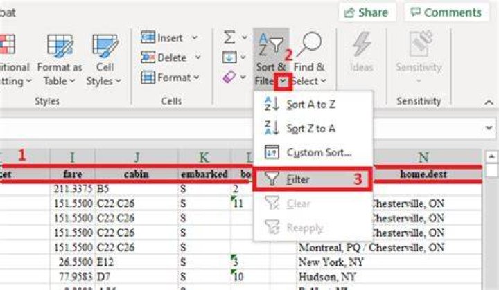 How do I filter alphanumeric data in Excel?