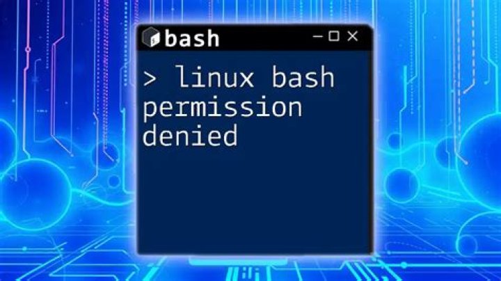 How do I fix bash permission denied?