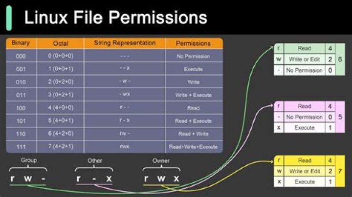 How do I give permission in Linux Mint?