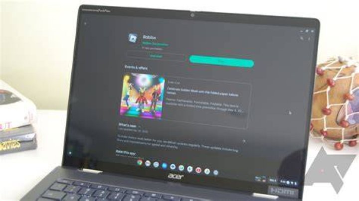How do I install SeaBIOS on my Chromebook?