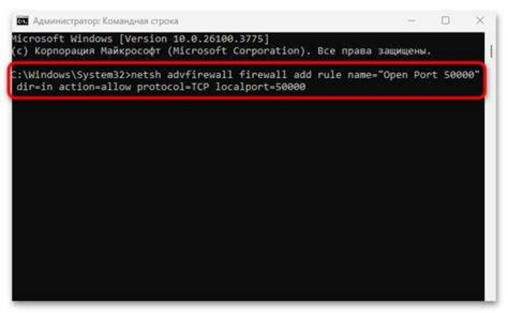 How do I open port 50000 on Windows?