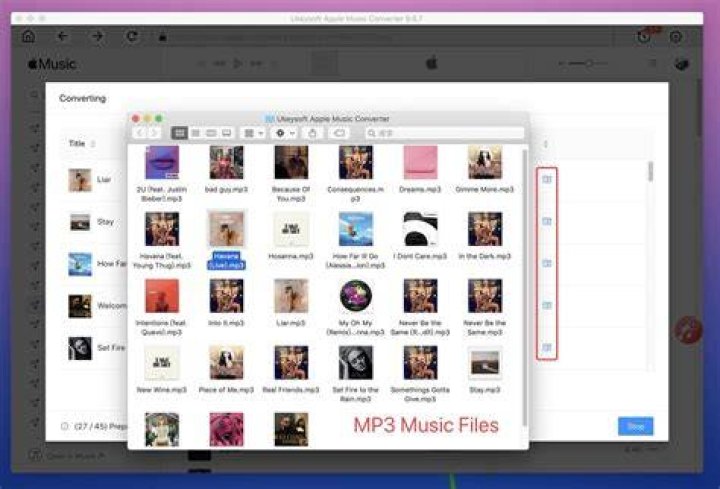 How do I remove DRM from Apple music for free?
