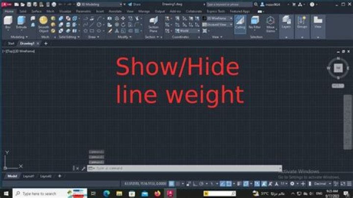 How do I set lineweight in AutoCAD 2020?