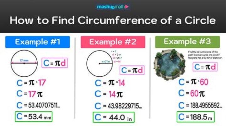 How do you determine the area and circumference of a circle?