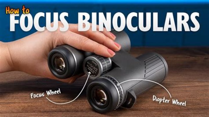How do you focus a focus stacker?