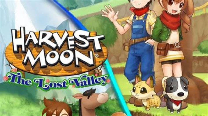 How do you get a baby in Harvest Moon the Lost Valley?
