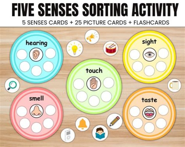 How do you teach your five senses kindergarten?