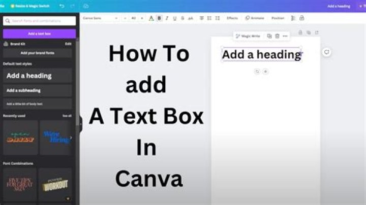 How do you use the text entry box in Captivate?