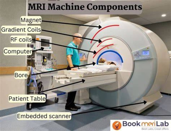 How does an MRI work on the brain?