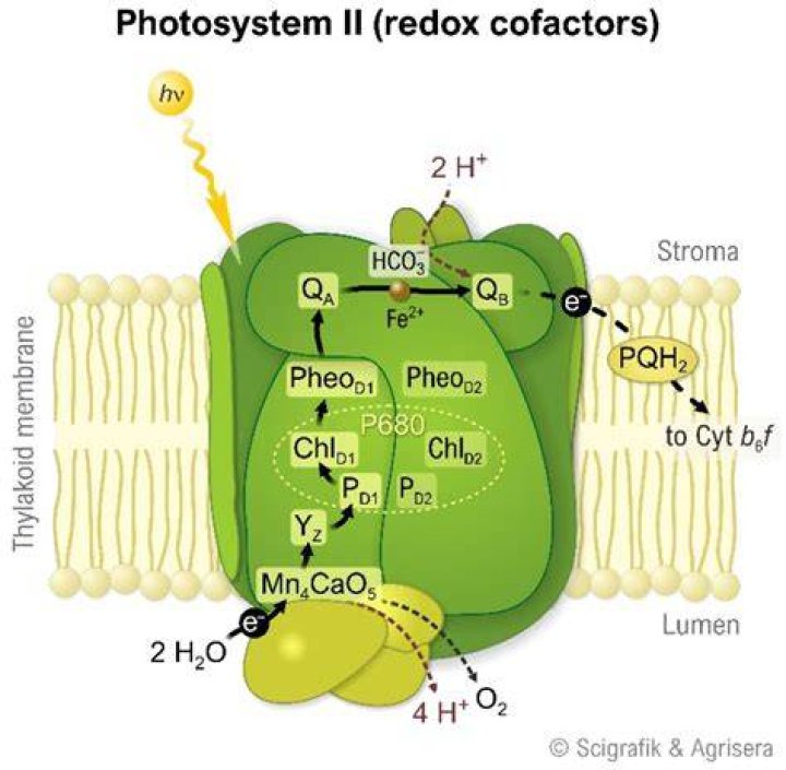 How does flash photolysis work?