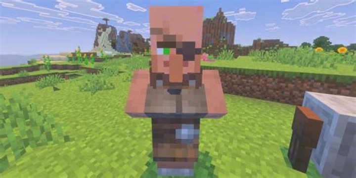How does wild work in minecraft?