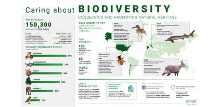 How is biodiversity going down?