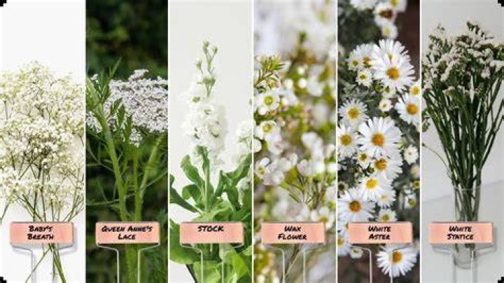 How long do everlasting bouquets last?