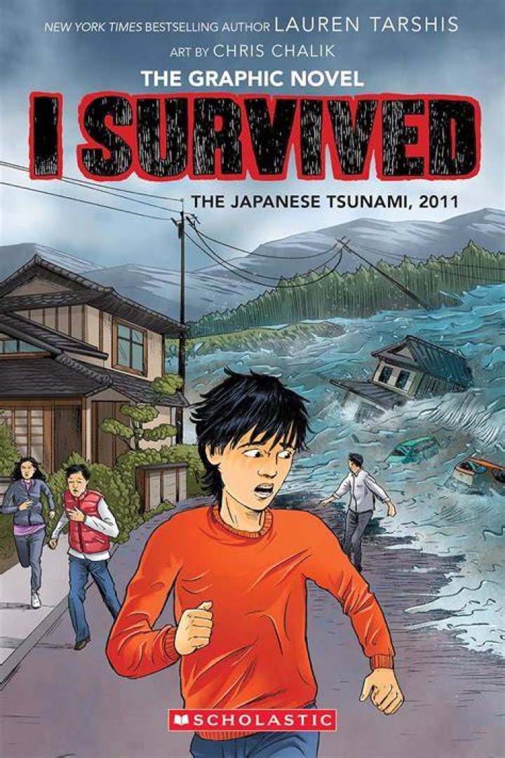 How much area did the 2011 tsunami cover?
