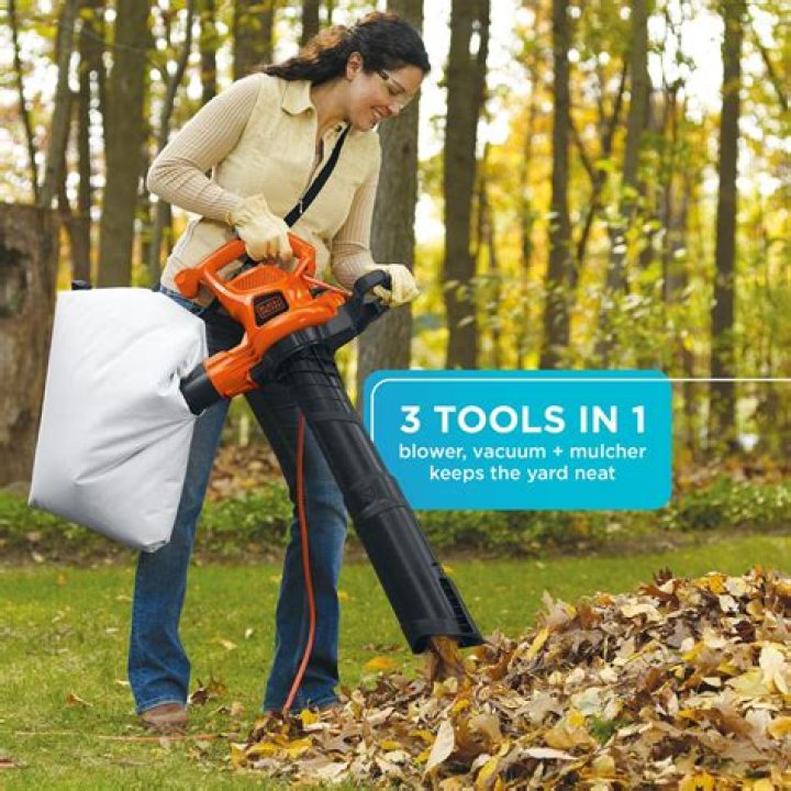 How much does an electric leaf blower cost?
