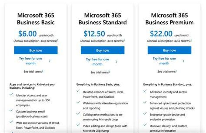 How much does Outlook cost for business?