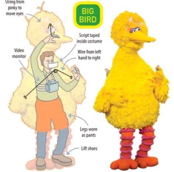 How much is Big Bird worth?