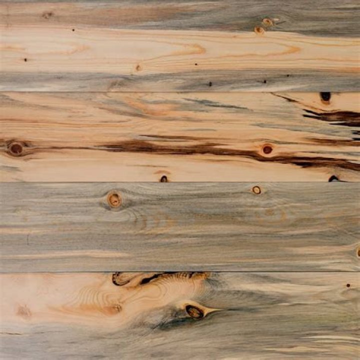 Is blue pine beetle kill?